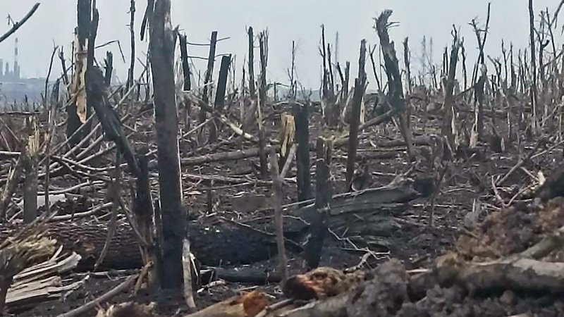 Trench Warfare Ukraine like during WWI