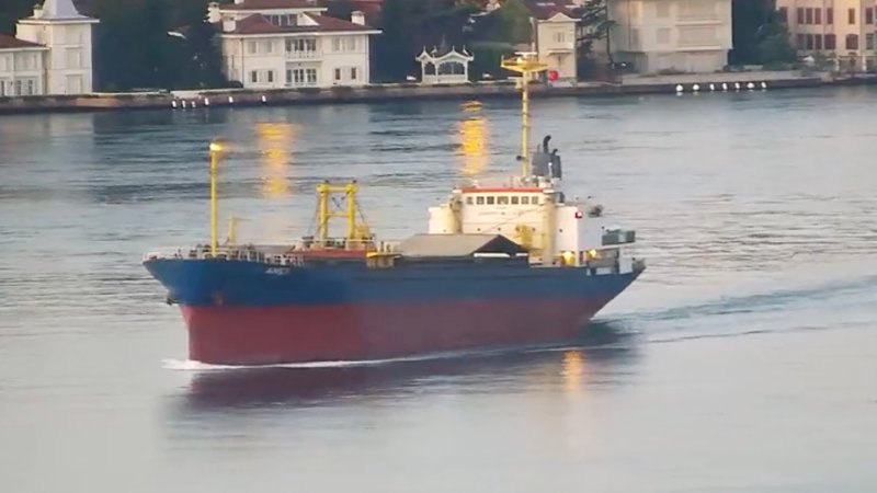 At least six civilian cargo ships have apparently ignored Russia's Black Sea warning.