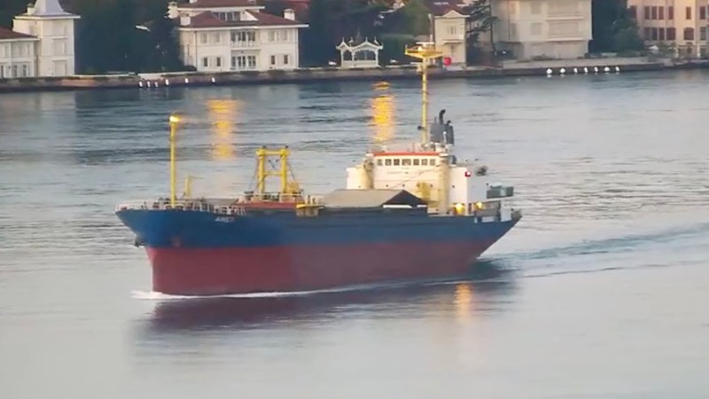 Cargo Ship Enters Danube Despite Russia’s Black Sea Shipping Threat