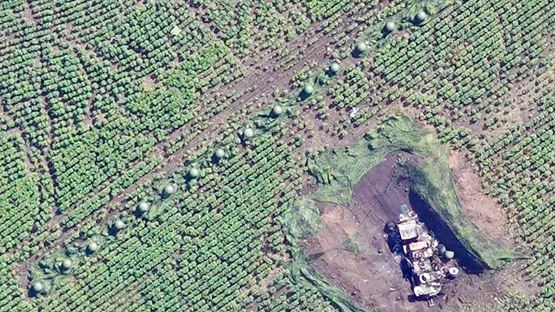 A mysterious array of what looks like 16 hemispherical structures has emerged in Ukraine without immediate explanation.