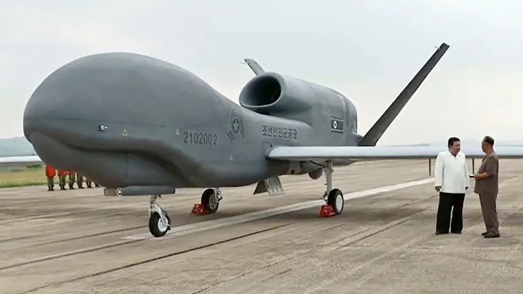 kim-global-hawk-lookalike.jpg