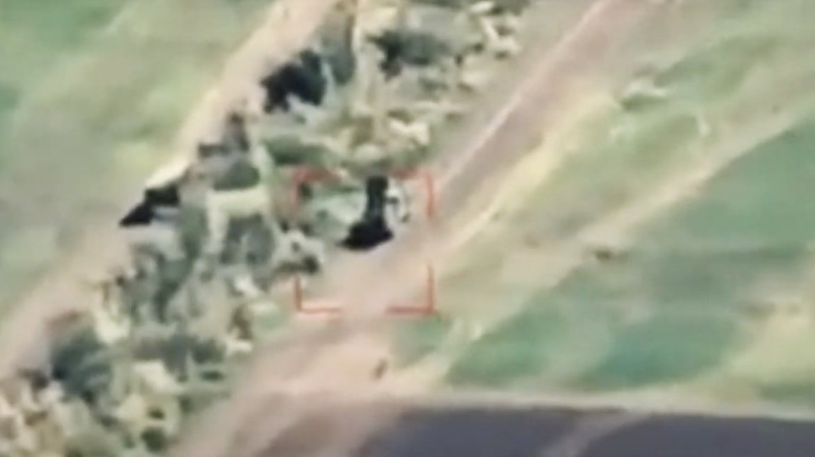 A Ukrainian reconnaissance brigade has released footage purportedly showing the destruction of Russia’s S-350 Vityaz air defense system in the Donetsk region.