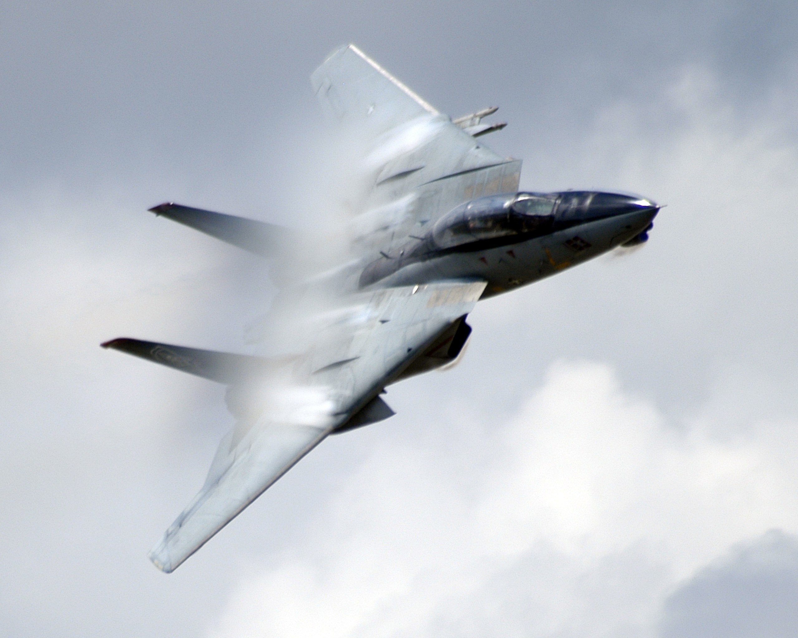 message-editor%2F1643401386068-us_navy_040925-n-0295m-030_an_f-14d_tomcat_conducts_a_high_speed_flyby_during_the_tactical_air_power_demonstration_at_the_2004_naval_air_station_oceana_air_show.jpeg