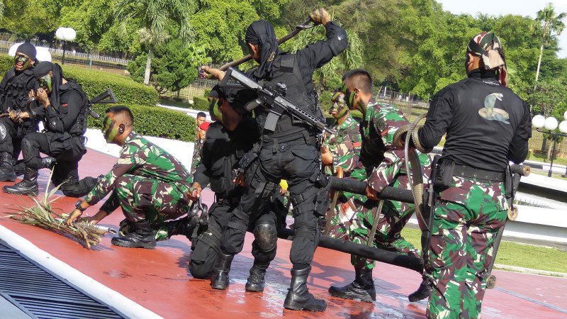 Mattis Got A Kick Out Of Indonesian Soldiers Drinking Snake Blood During Bizarre Display