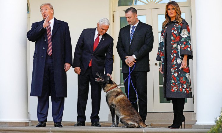 Famous Military Dog Conan Who Chased ISIS Leader Al Baghdadi Gets Medal At The White House