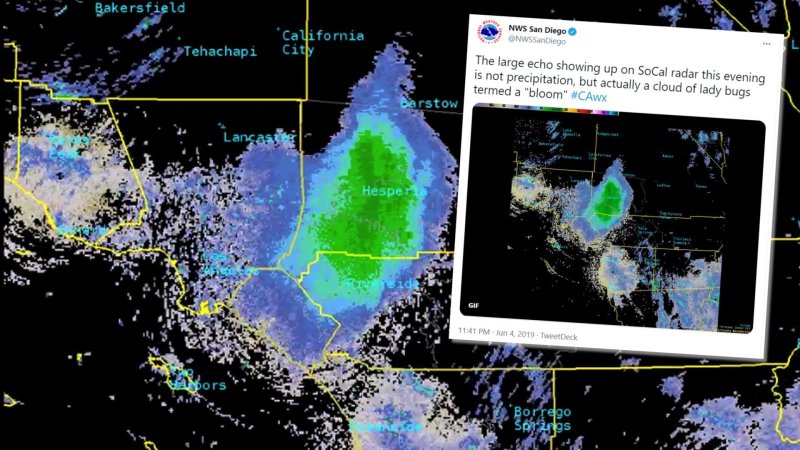 Huge “Swarm” That Lit-Up Radar Was Almost Certainly Caused By The Military, Not Ladybugs