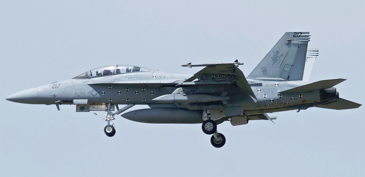 message-editor%2F1524853514910-super-hornet-jsow.jpg